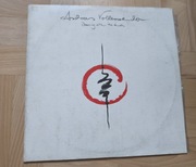 ANDREAS VOLLENWEIDER  - Dancing With The Lion