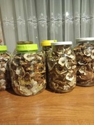 Borowiki szlachetne suszone na piecu kaflowym 