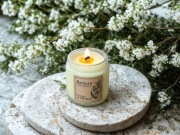 Świeca ARDORE Citrus et Herbae – 100 g (słoik przezroczysty)