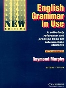 English Grammar in Use Raymond Murphy
