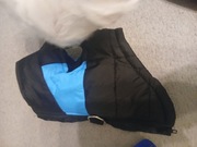 Kurteczka dla psa nową rozmiar S