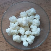 Grzybek tybetański kefir 20 gram