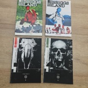 Bridge land + The Black monday murders 