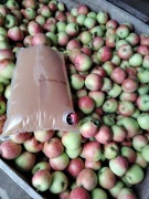 Sok z jabłek z własnego sadu 