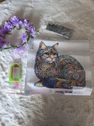 Zestaw do Haftu Diamentowego 5D 30x30 - Kot