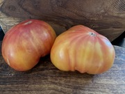 Hawaiian Pineaple pomidor nasiona 