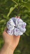 Gumka do włosów typu scrunchie kwiatki M | Bawełna ozdoba akcesoria