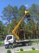 Podnośnik koszowy,zwyżka,usługi,wynajem,wycinka drzew