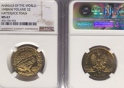 2 ZŁ1998 ROPUCHA PASKÓWKA NGC MS67 ! 2 MAX 