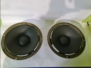 Głośniki Nisko tonowe TONSIL GDN 25 Altus 75/110