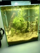 gotowe Akwarium kostka 50l pokrywa LED Gratis ryby rośliny w cenie !