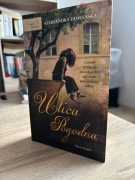 Książka "Ulica Pogodna" Aleksandra Domańska 