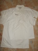 Alexandra 2 koszulki polo męs. r.L