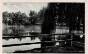 Pocztówka: Kattowitz O/S Schwanenteich im Sudpark (przed 1945)