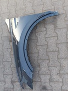 Blotynk przedni lewy VW Tiguan 5NA