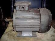 Silnik elektryczny 0,8 kW , 1450 obr/min