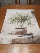 Obraz na płótnie Drzewko Oliwne