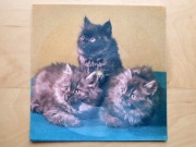 Pocztówka dźwiękowa Love Young Allah Santacruz