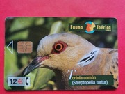 HISZPANIA  - Fauna Iberica   - Karta telefoniczna  /  PTAKI - TURKAWKA