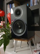 Głośniki podstawkowe Acoustic Energy AE300