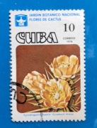 Znaczek pocztowy z serii kwiaty kaktusów Cuba KUBA