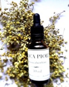 Piołun Prosto od Chłopa wyciąg pasożyty odrobaczanie Hulda 30 ml