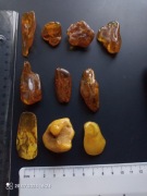 Polerowany Bursztyn Jantar 4 gramy do 8,5 gram suma 53,4 gram 10 bursztynów