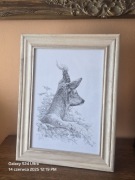 Grafika myśliwska KOZIOŁ Rogacz Sarna Europejska Myłkus Polowanie na kozła.