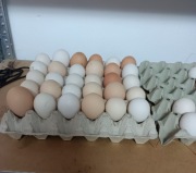 Jajka z wolnego wybiegu 10szt.