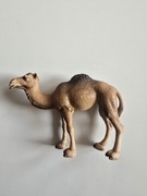 unikatowa samica wielbłada schleich '05