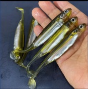 Sandacz Szczupak Boleń 