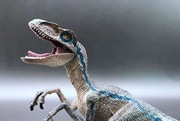 Świat jurajski DINOZAUR Velociraptor Jurassic World Fallen Kingdom
