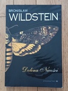 Dolina Nicości Wildstein 