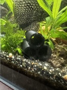 Rurki, jaskinia dla ryb i krewetek do akwarium druk 3d