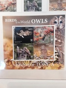 Tonga  2019  Mi blok 132  ptaki sowy  78 € idealna pozycja