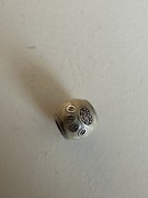 Pandora charms i love my pet 