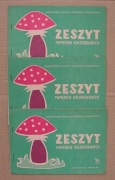 Zeszyt papierów kolorowych - szt. 3