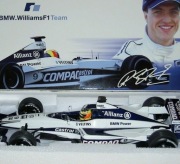 1/18 MINICHAMPS 80430026081 F1 BMW Williams Ralf S