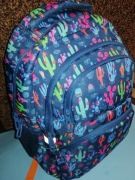 Plecak szkolny plecak Paso 