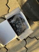 Komplet śrub kół do renault trafic vivaro talento