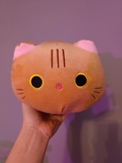 Zabawka, poduszka kot