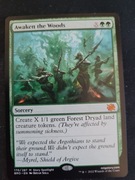 Awaken the Woods