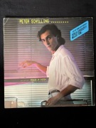 Peter Schilling Fehler In System