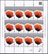 Bitwa pod Monte Cassino Fi 4528 ** arkusik 2014r.