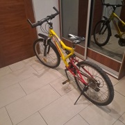 Rower 24 cale (120 - 150 cm)