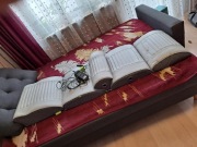 Vitberg Recovery System