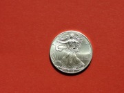 1 dolar USA 2009, Liberty, uncja srebra, 1 oz, Ag 999, Stan Menniczy/I