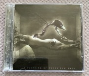 Weeping Birth - a painting of raven and rape