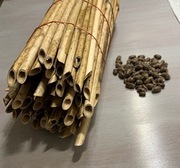 Murarki ogrodowe + rurki trzcinowe 100szt