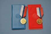 Medale, Odznaczenia, LOK złoty, brąz + etui